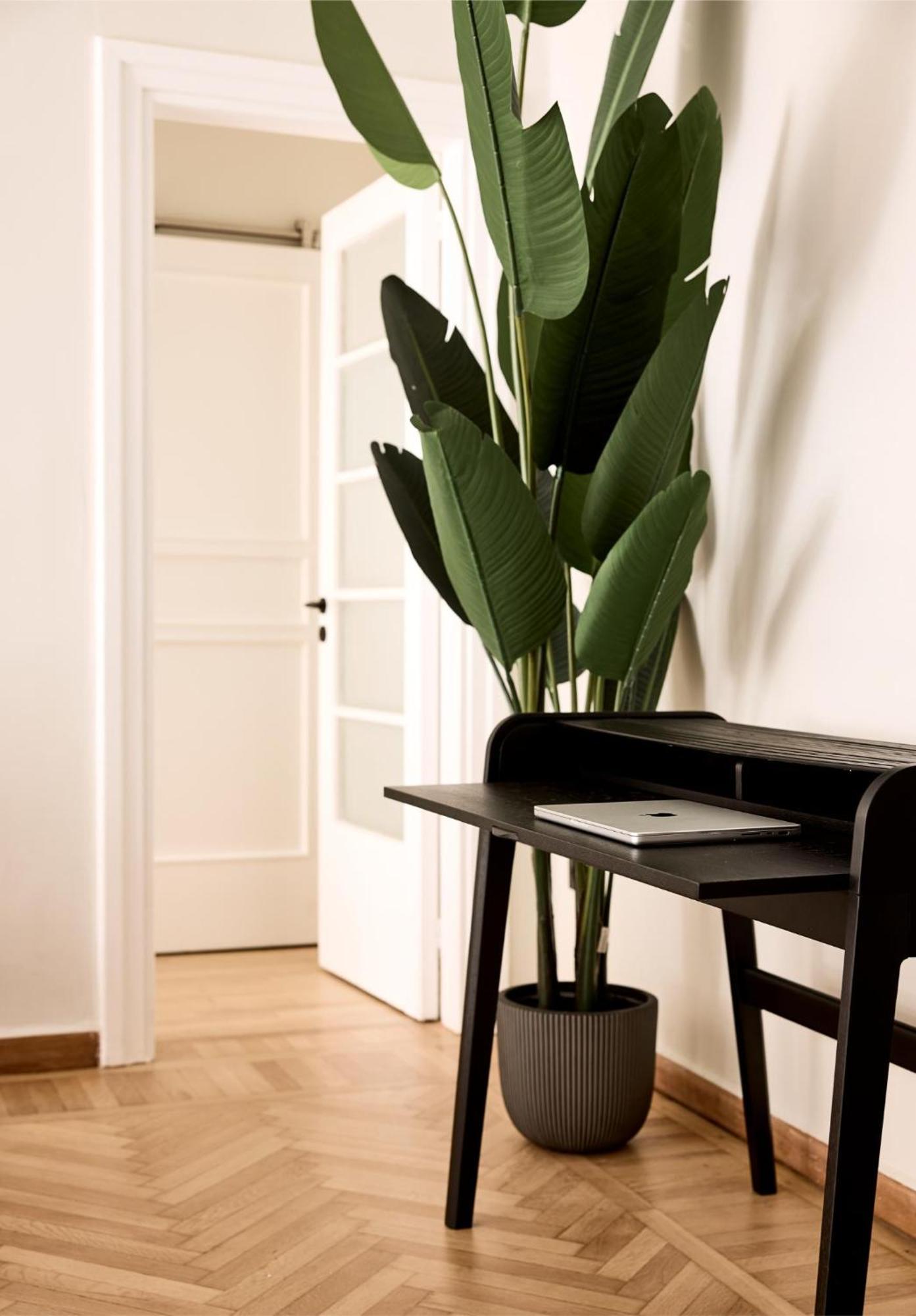 Lime Residences, Syntagma By Aura Homes アテネ 部屋 写真
